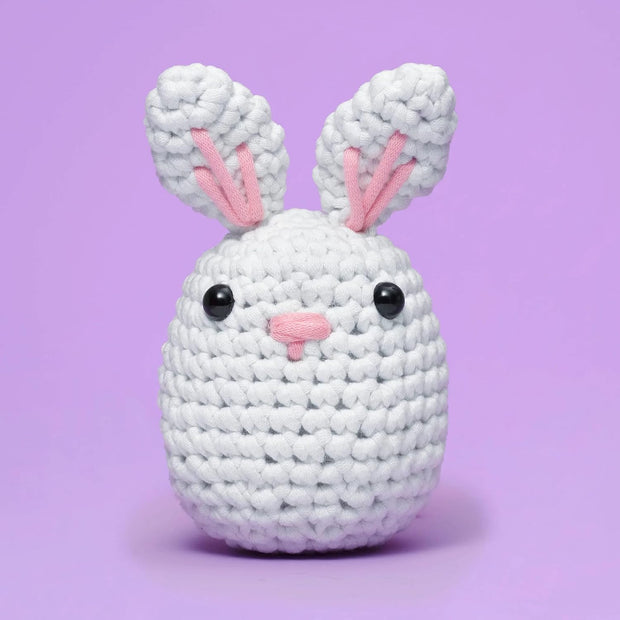Crochet Kit for Beginners – Easy Arts & Crafts Kit for Making Crochet Animals